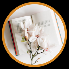 Favoritele Primaverii