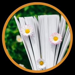 Bundle-uri de Primavara