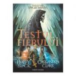 Testul fierului. Magisterium, volumul 1 - Holly Black