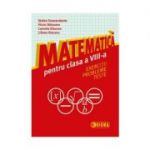 Matematica pentru clasa a 8-a. Exercitii, probleme, teste - Stefan Smarandache