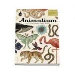 Animalium. Bun venit la muzeu. Intrarea libera - Katie Scott, Jenny Broom