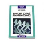 Economia sociala a grupurilor vulnerabile (Doru Buzducea)