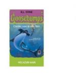 Necazuri mari - R. L. Stine