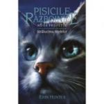 Pisicile Razboinice. Noua profetie. Cartea 10. Stralucirea stelelor - Erin Hunter