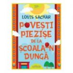 Povesti piezise de la Scoala-n Dunga - Louis Sachar