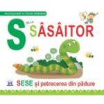 S de la Sasaitor. Cartonata - Greta Cencetti