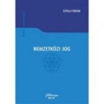 Nemzetkozi Jog. Drept international public - Gyula Fabian