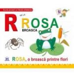 R de la Rosa, broasca. Necartonata - Greta Cencetti