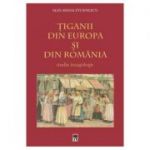 Tiganii din Europa si din Romania - Alex Mihai Stoenescu