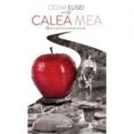 Calea mea - Cezar Elisei