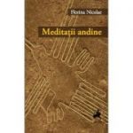 Meditatii andine - Florina Nicolae