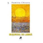 Musuroiul de lumina - Dumitru Chioaru