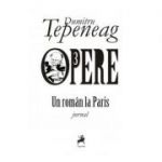 Opere 3. Un roman la Paris - Dumitru Tepeneag