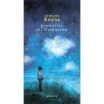 Gramatica lui Dumnezeu - Stefano Benni