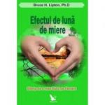 Efectul de Luna de Miere. Stiinta de a crea Raiul pe Pamant - Bruce H. Lipton