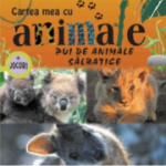 Pui de animale salbatice