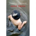 Arde Troia - Sandro Veronesi