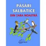 Pasari salbatice din tara noastra. Contine 48 de jetoane