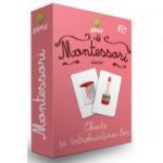 Carti de joc Montessori. Obiecte si intrebuintarea lor
