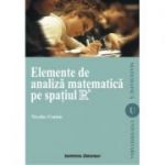 Elemente de analiza matematica pe spatiul R - Nicolae Crainic