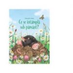 Ce se intampla sub pamant (Usborne) - Emily Bone