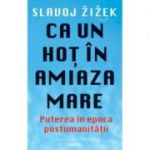 Ca un hot ziua in amiaza mare - Slavoj Zizek