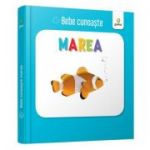 Marea. Bebe Cunoaste