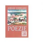 O lume de poezie - Adrian Vizireanu