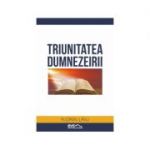 Triunitatea Dumnezeirii - Florin Laiu