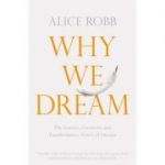 Why We Dream - Alice Robb