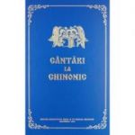 Cantari la Chinonic - Pr. Prof. Dr. Nicu Moldoveanu