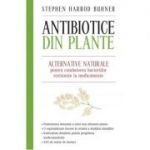 Antibiotice din plante. Alternative naturale pentru combaterea bacteriilor rezistente la medicamente (editie mare) - Stephen Harrod Buhner