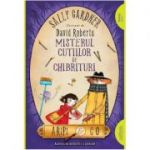 Aripi & Co 4. Misterul cutiilor de chibrituri. Paperback - Sally Gardner, David Roberts