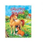 Calutul fulger - WILGA