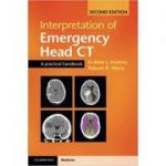 Interpretation of Emergency Head CT: A Practical Handbook - Erskine J. Holmes, Rakesh R. Misra