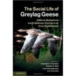 The Social Life of Greylag Geese: Patterns, Mechanisms and Evolutionary Function in an Avian Model System - Isabella B. R. Scheiber, Brigitte M. Weib, Josef Hemetsberger, Kurt Kotrschal