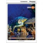 Turtles: Ancient Symbol/Modern Survivor Upper Intermediate Book with Online Access - Karmel Schreyer