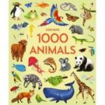 1000 animals