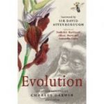 Evolution: Selected Letters of Charles Darwin 1860–1870 - Frederick Burkhardt, Alison M. Pearn, Samantha Evans