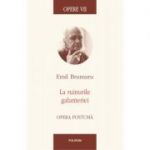 Opere VII. La ruinurile galanteriei. Opera postuma - Emil Brumaru