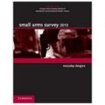 Small Arms Survey 2013: Everyday Dangers