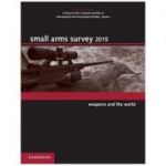 Small Arms Survey 2015: Weapons and the World