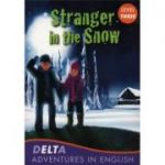 Stranger in the snow - Lynne Benton