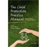 The Child Protection Practice Manual: Training practitioners how to safeguard children - Gayle Hann, Caroline Fertleman