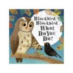 Blackbird, Blackbird, What Do You Do? - Kate McLelland