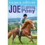 Joe and the Lightning Pony - Victoria Eveleigh