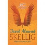 Skellig - David Almond