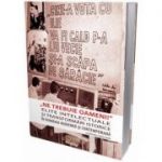 Ne trebuie oameni! Elite intelectuale si transformari istorice in Romania moderna si contemporana - Cristian Vasile