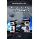 Timp turbat, poet obscur. Dizgratii 2 - Valentin Predescu