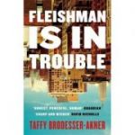 Fleishman Is in Trouble - Taffy Brodesser-Akner